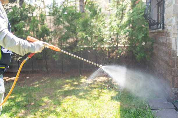 Professional Pest Control in Suny Oswego, NY